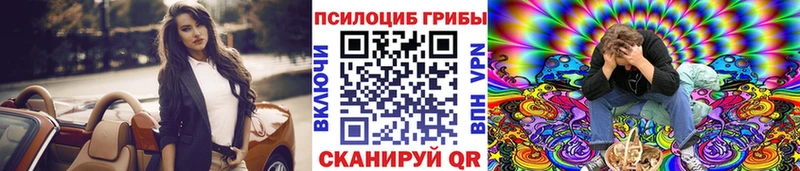 Псилоцибиновые грибы Psilocybine cubensis  Гусиноозёрск 