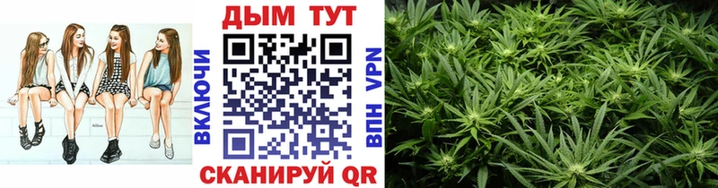 наркотики  Гусиноозёрск  Каннабис White Widow 